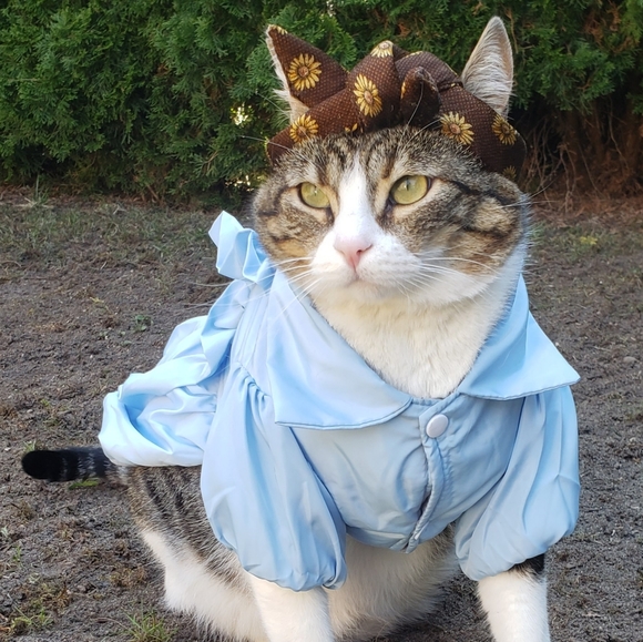 Handmade Artisan Rockabilly Wire Headband For Pets - Picture 4 of 4